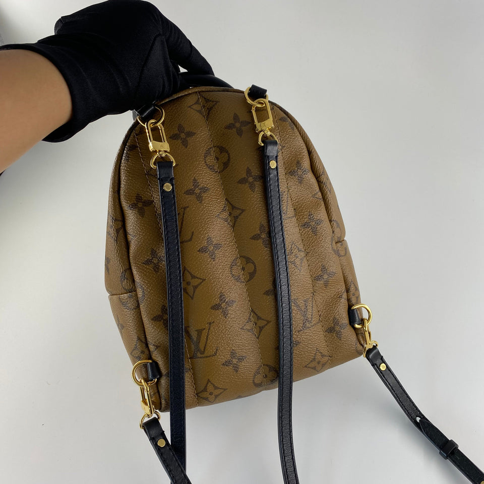 Louis Vuitton Mini Reverse Palm Springs Backpack