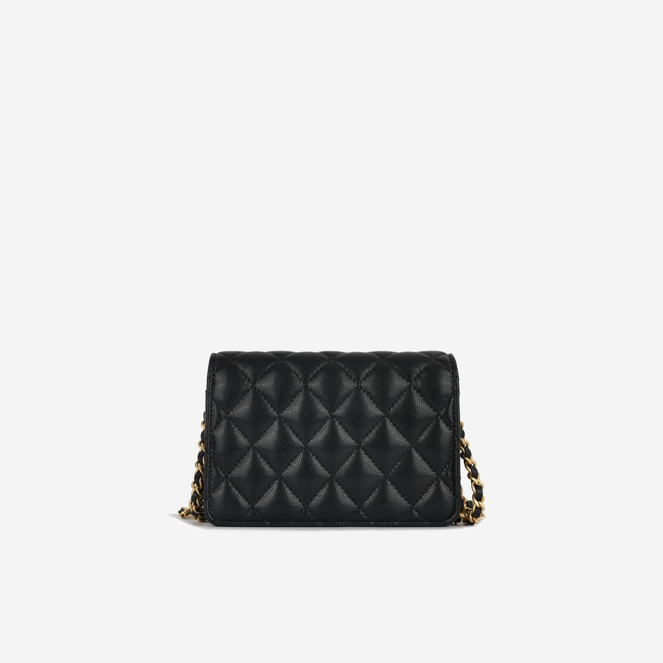 Chanel Small Clutch on Chain