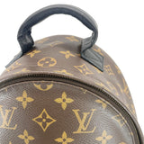 Louis Vuitton Palm Springs PM Monogram Canvas Backpack Brown