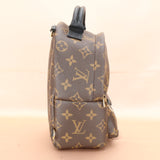 Louis Vuitton Palm Springs Mini Backpack