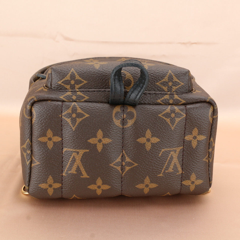 Louis Vuitton Palm Springs Mini Backpack