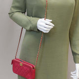 Chanel Le Boy Wallet on Chain Woc Double Zip Clutch Crossbody Bag