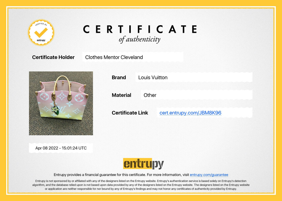 Louis Vuitton Handbag Designer