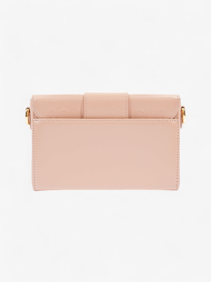 Christian Dior 30 Montaigne Box Bag Blush Leather