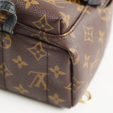Louis Vuitton Mini Palm Spring Backpack Monogram