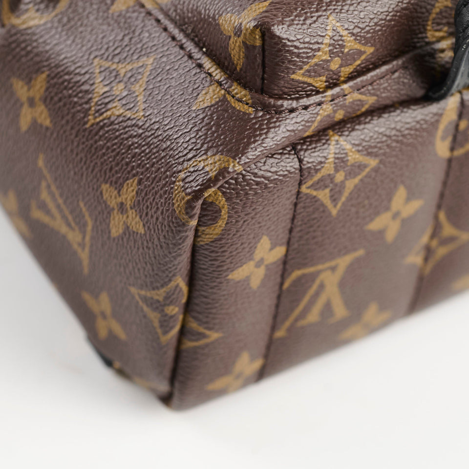 Louis Vuitton Mini Palm Spring Backpack Monogram