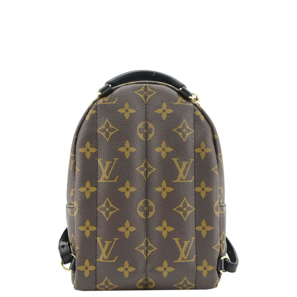 Louis Vuitton Palm Springs Mini Monogram Canvas Backpack Brown