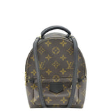 Louis Vuitton Palm Springs Mini Monogram Canvas Backpack Brown