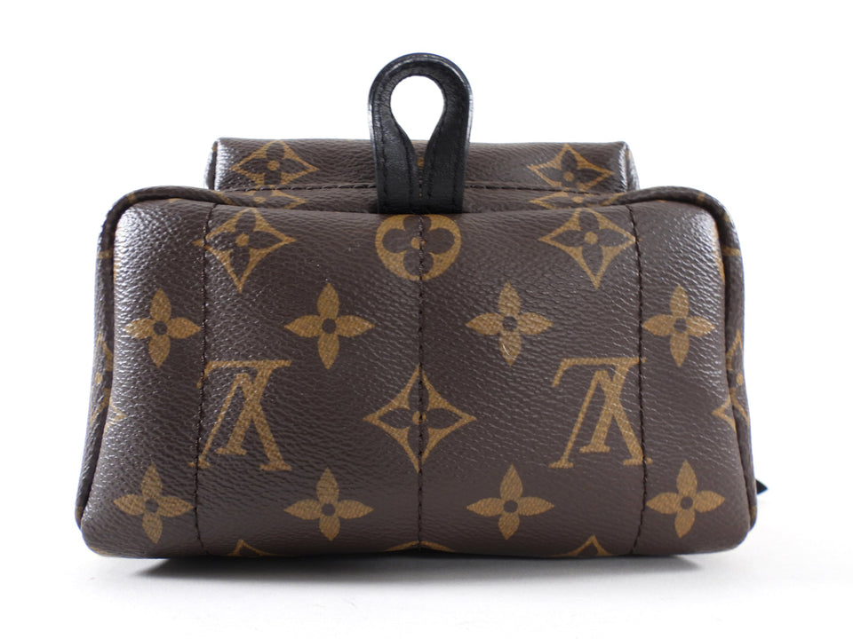 Louis Vuitton Monogram Canvas Palm Springs Mini Backpack