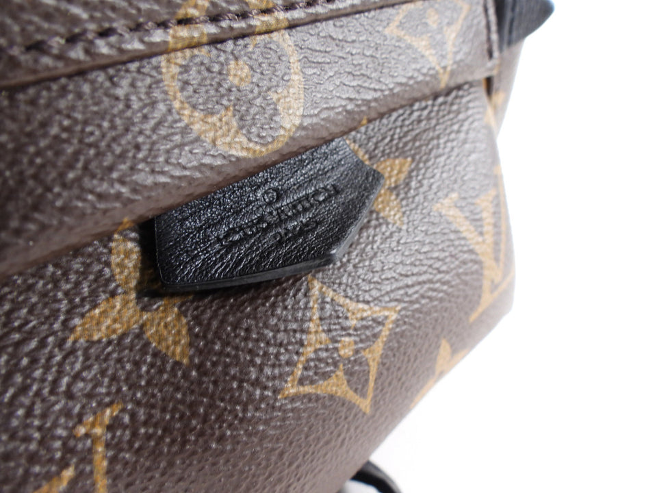 Louis Vuitton Monogram Canvas Palm Springs Mini Backpack