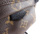 Louis Vuitton Monogram Canvas Palm Springs Mini Backpack
