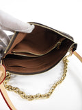 Louis Vuitton Monogram Canvas Pochette Accessoires Bag