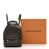 Louis Vuitton MONOGRAM PALM SPRINGS MINI BACKPACK