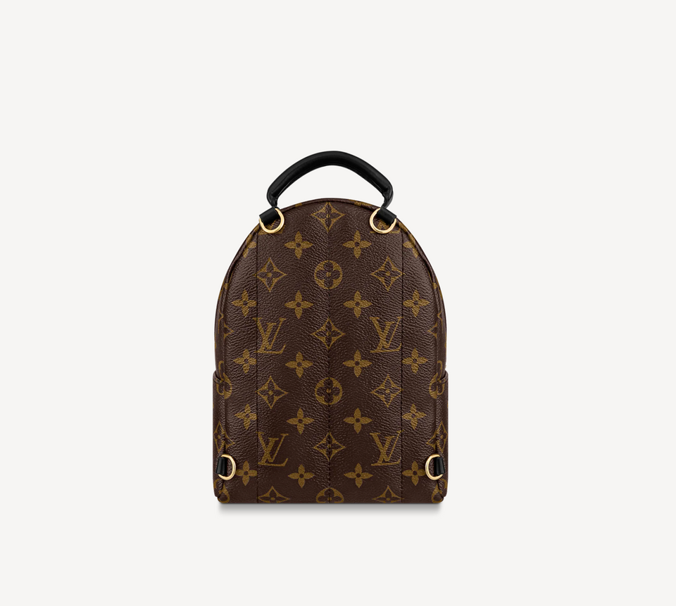Louis Vuitton MONOGRAM PALM SPRINGS MINI BACKPACK