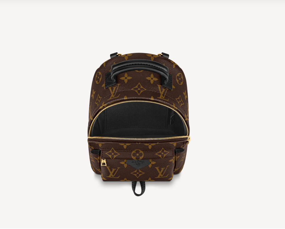 Louis Vuitton MONOGRAM PALM SPRINGS MINI BACKPACK