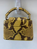 Louis Vuitton PYTHON MINI CAPUCINES BAG