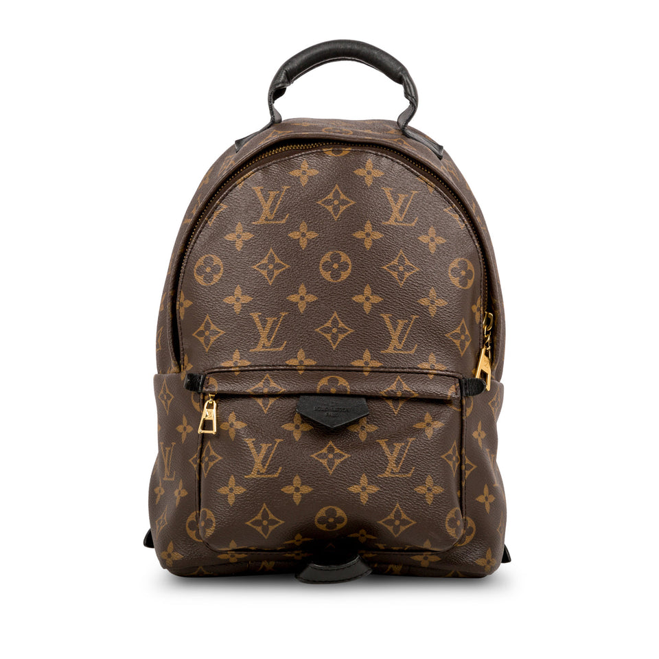 Louis Vuitton Palm Springs Backpack PM
