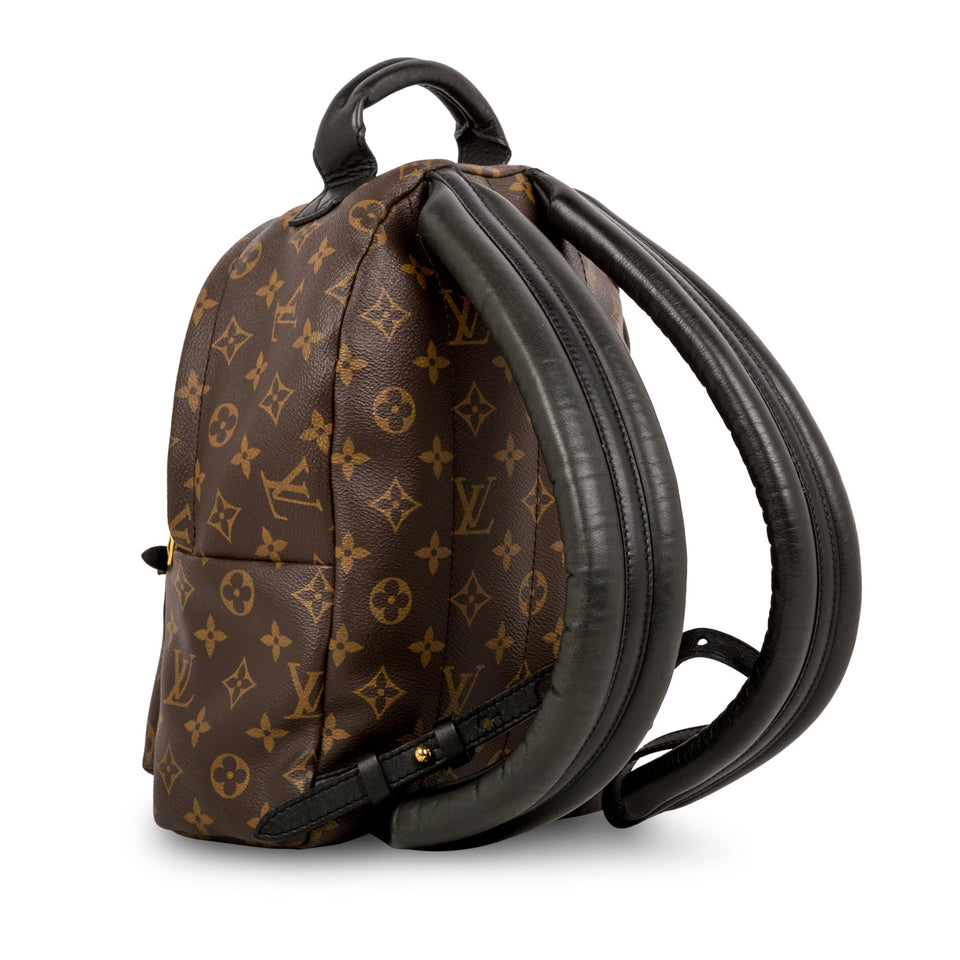 Louis Vuitton Palm Springs Backpack PM