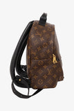 Louis Vuitton Brown Monogram Palm Spring Backpack PM