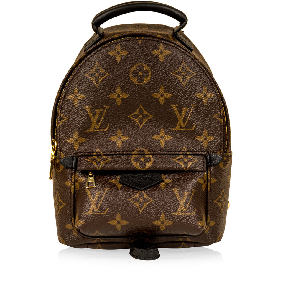 Louis Vuitton Palm Springs Backpack - Mini