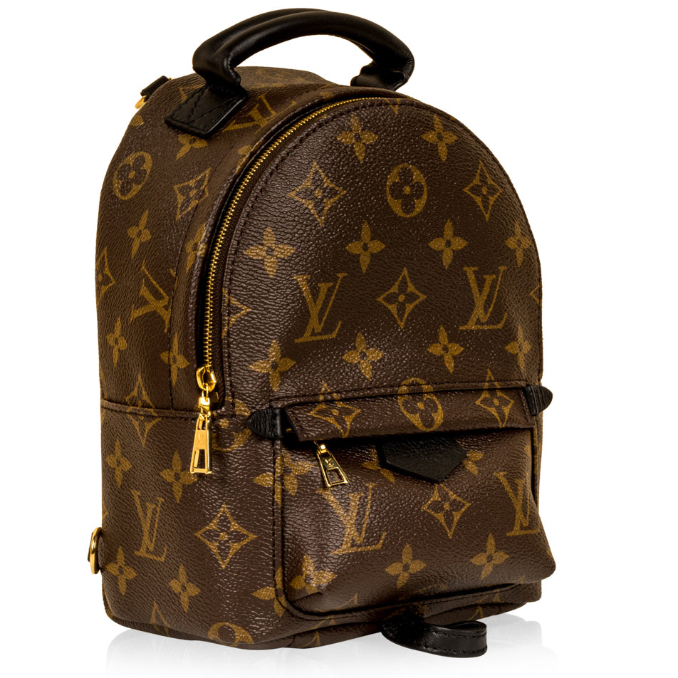 Louis Vuitton Palm Springs Backpack - Mini