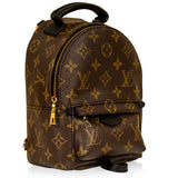 Louis Vuitton Palm Springs Backpack - Mini