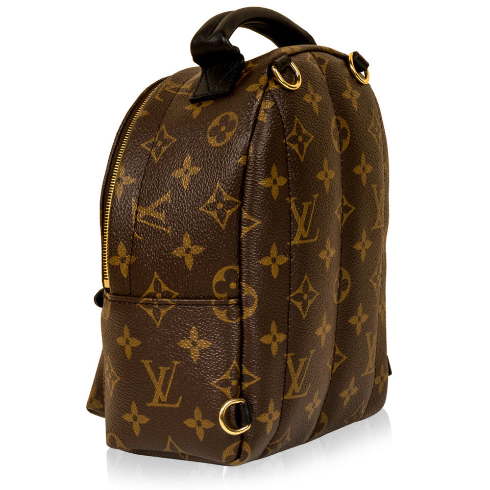 Louis Vuitton Palm Springs Backpack - Mini