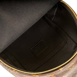 Louis Vuitton Palm Springs Backpack - Mini