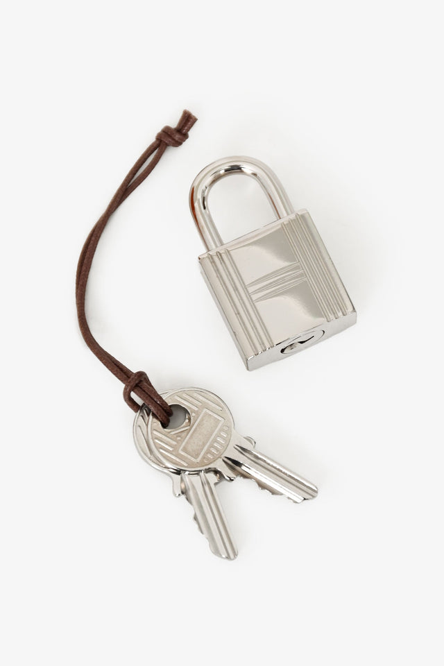 Hermes 2016 Burnt Orange Clemence Leather Picotin 18 Silver Hardware