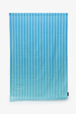 Louis Vuitton Blue Cotton Damier Stripes Scarf