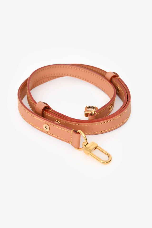 Louis Vuitton Monogram Loop Chain Shoulder Bag with Strap