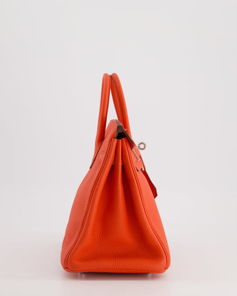 Hermes Birkin 25 Retourne Bag in Capucine Togo Leather and Palladium Hardware