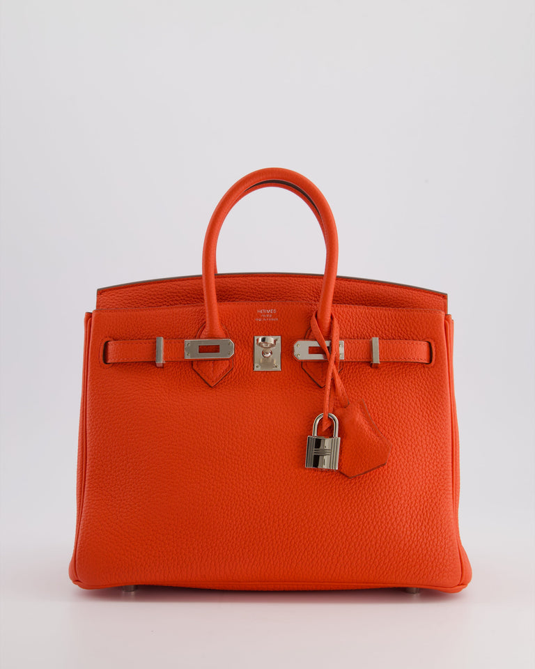 Hermes Birkin 25 Retourne Bag in Capucine Togo Leather and Palladium Hardware