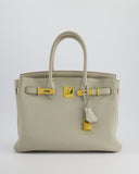Hermes Birkin 30cm Bag in Beton Togo Leather with Gold Hardware