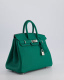 Hermes Birkin 25 Retourne Bag in Vert Vertigo Togo Leather with Palladium Hardware