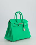 Hermes Birkin 25 Retourne Bag in Vert Comics Togo Leather with Palladium Hardware