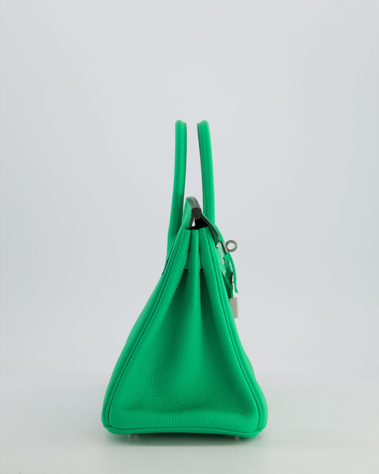 Hermes Birkin 25 Retourne Bag in Vert Comics Togo Leather with Palladium Hardware