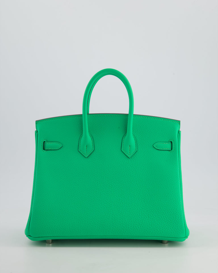 Hermes Birkin 25 Retourne Bag in Vert Comics Togo Leather with Palladium Hardware