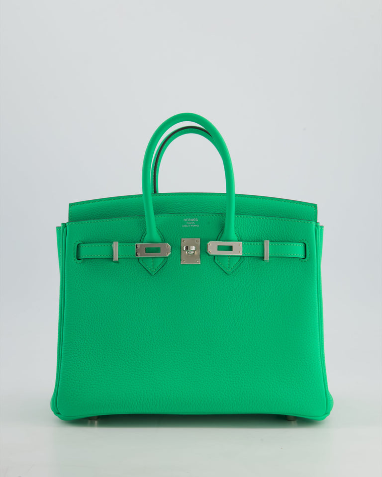 Hermes Birkin 25 Retourne Bag in Vert Comics Togo Leather with Palladium Hardware