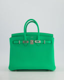Hermes Birkin 25 Retourne Bag in Vert Comics Togo Leather with Palladium Hardware