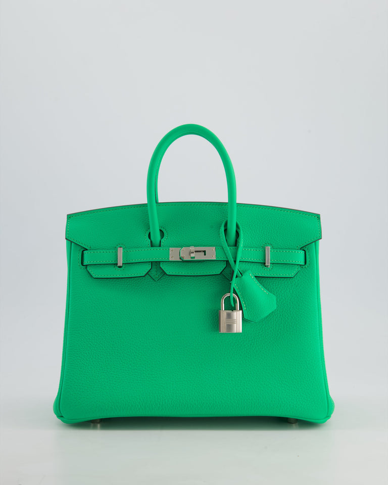 Hermes Birkin 25 Retourne Bag in Vert Comics Togo Leather with Palladium Hardware