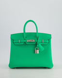 Hermes Birkin 25 Retourne Bag in Vert Comics Togo Leather with Palladium Hardware