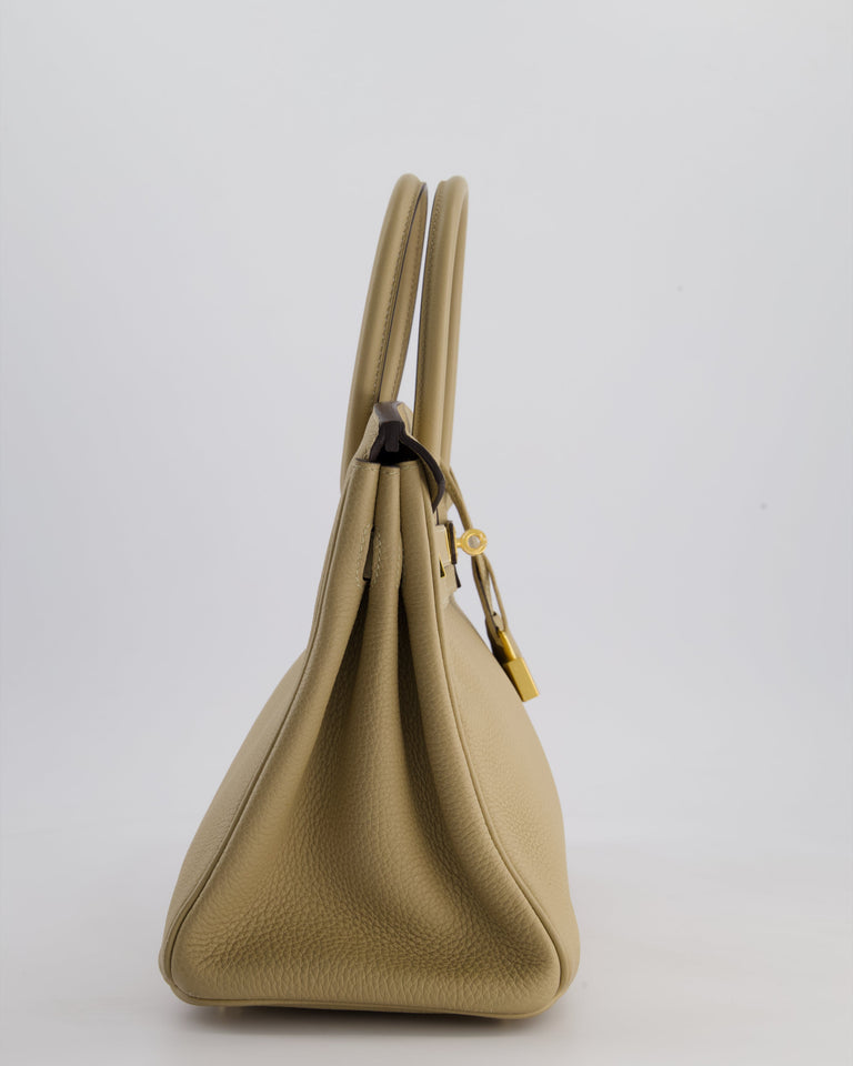 Hermes Birkin 30 Retourne Bag in Trench Togo Leather with Gold Hardware