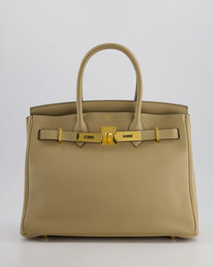 Hermes Birkin 30 Retourne Bag in Trench Togo Leather with Gold Hardware