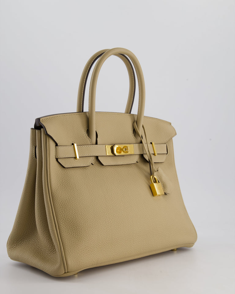 Hermes Birkin 30 Retourne Bag in Trench Togo Leather with Gold Hardware