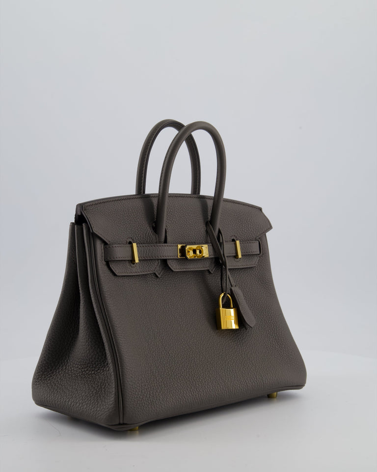 Hermes Birkin 25 Retourne Bag in Gris Etain Togo Leather with Gold Hardware
