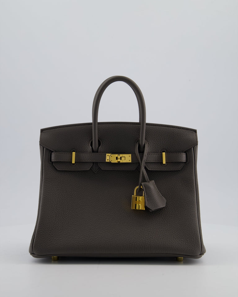 Hermes Birkin 25 Retourne Bag in Gris Etain Togo Leather with Gold Hardware