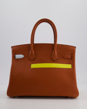 *HOT & RARE* Hermes Birkin 30 Retourne Colormatic Bag in Cuivre, Nata, Bleu Brume, Chai and Lime Swift Leather with Palladium Hardware