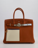 *HOT & RARE* Hermes Birkin 30 Retourne Colormatic Bag in Cuivre, Nata, Bleu Brume, Chai and Lime Swift Leather with Palladium Hardware