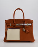 *HOT & RARE* Hermes Birkin 30 Retourne Colormatic Bag in Cuivre, Nata, Bleu Brume, Chai and Lime Swift Leather with Palladium Hardware